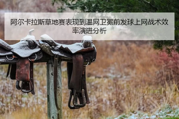 阿尔卡拉斯草地赛表现到温网卫冕前发球上网战术效率演进分析