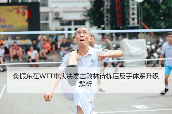 樊振东在WTT重庆决赛击败林诗栋后反手体系升级解析