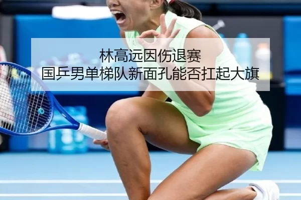 林高远因伤退赛 国乒男单梯队新面孔能否扛起大旗